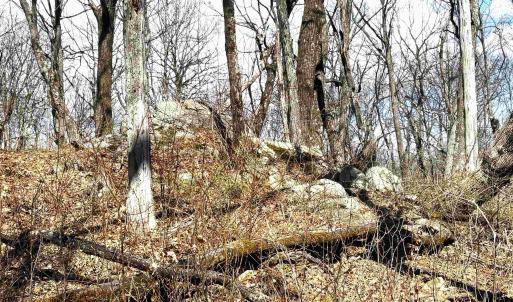 Photo #9 of 433 LAUREL SPRINGS DR, WINTERGREEN RESORT, VA 0.5 acres