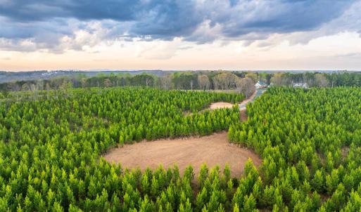 Photo #15 of TBD EVERGREEN CHURCH RD, PALMYRA, VA 42.6 acres