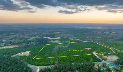 Photo #3 of TBD EVERGREEN CHURCH RD, PALMYRA, VA 42.6 acres