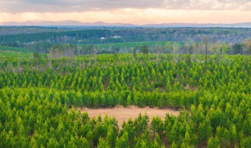 Photo #29 of TBD EVERGREEN CHURCH RD, PALMYRA, VA 42.6 acres