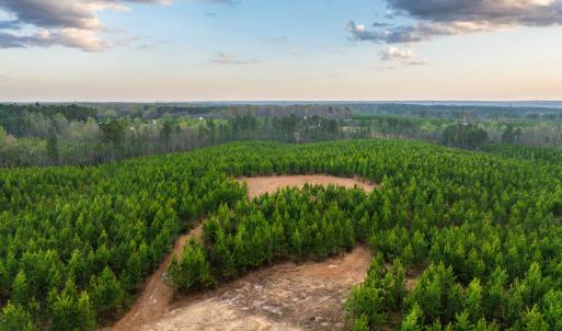 Photo #19 of TBD EVERGREEN CHURCH RD, PALMYRA, VA 42.6 acres