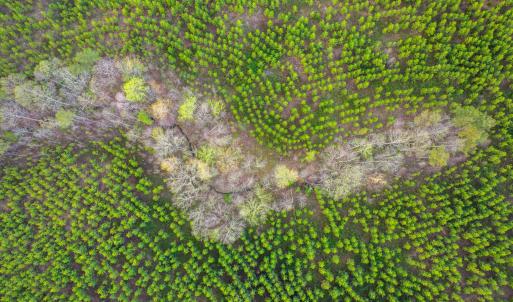 Photo #28 of TBD EVERGREEN CHURCH RD, PALMYRA, VA 42.6 acres