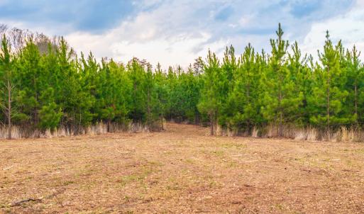 Photo #17 of TBD EVERGREEN CHURCH RD, PALMYRA, VA 42.6 acres