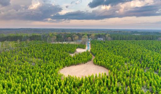 Photo #31 of TBD EVERGREEN CHURCH RD, PALMYRA, VA 42.6 acres