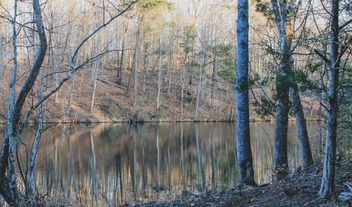 Photo #50 of 42 SHADWELL RD, KESWICK, VA 42.1 acres