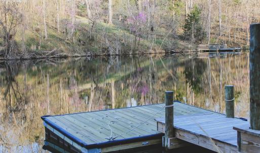 Photo #61 of 42 SHADWELL RD, KESWICK, VA 42.1 acres