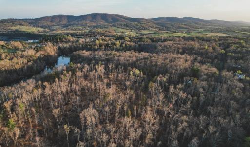 Photo #5 of 42 SHADWELL RD, KESWICK, VA 42.1 acres