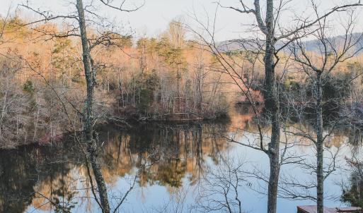 Photo #40 of 42 SHADWELL RD, KESWICK, VA 42.1 acres