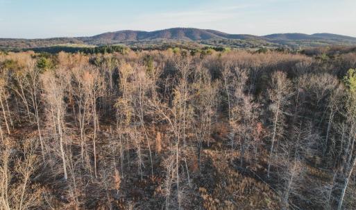 Photo #24 of 42 SHADWELL RD, KESWICK, VA 42.1 acres