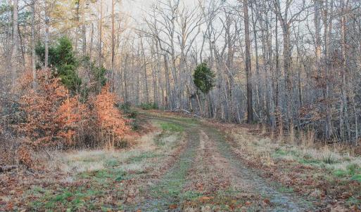 Photo #32 of 42 SHADWELL RD, KESWICK, VA 42.1 acres