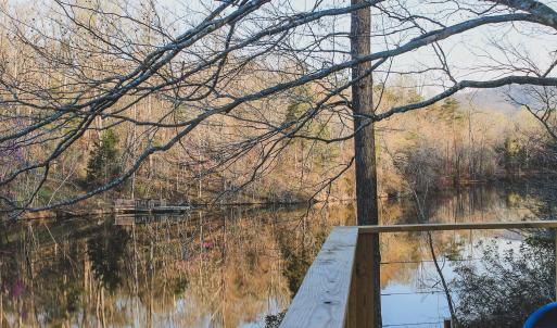 Photo #39 of 42 SHADWELL RD, KESWICK, VA 42.1 acres