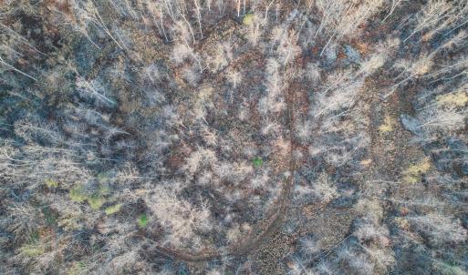 Photo #16 of 42 SHADWELL RD, KESWICK, VA 42.1 acres