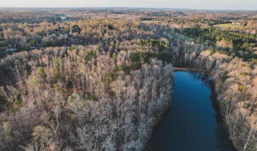 Photo #17 of 42 SHADWELL RD, KESWICK, VA 42.1 acres