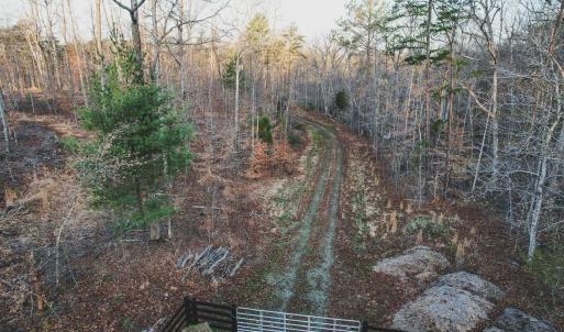 Photo #29 of 42 SHADWELL RD, KESWICK, VA 42.1 acres