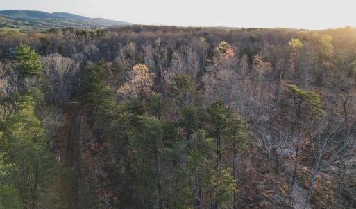 Photo #28 of 42 SHADWELL RD, KESWICK, VA 42.1 acres