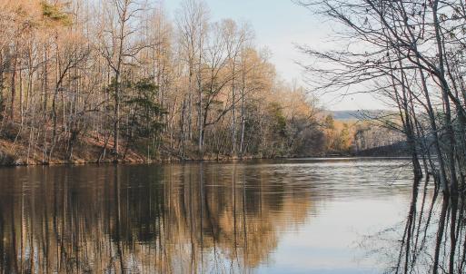 Photo #51 of 42 SHADWELL RD, KESWICK, VA 42.1 acres