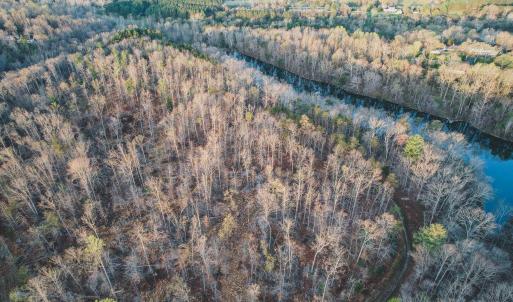 Photo #7 of 42 SHADWELL RD, KESWICK, VA 42.1 acres
