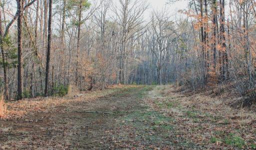 Photo #47 of 42 SHADWELL RD, KESWICK, VA 42.1 acres
