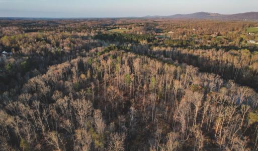 Photo #15 of 42 SHADWELL RD, KESWICK, VA 42.1 acres