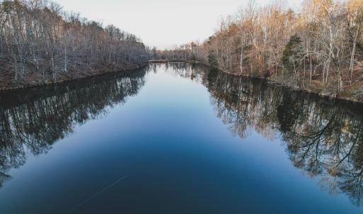 Photo #19 of 42 SHADWELL RD, KESWICK, VA 42.1 acres