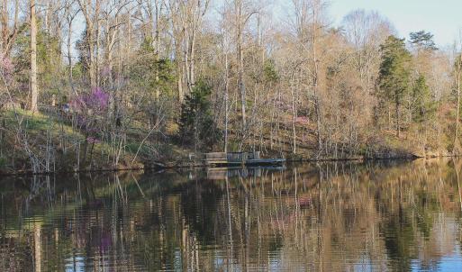 Photo #63 of 42 SHADWELL RD, KESWICK, VA 42.1 acres