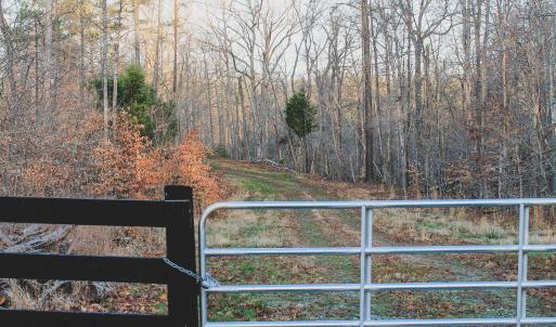Photo #30 of 42 SHADWELL RD, KESWICK, VA 42.1 acres
