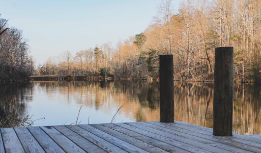 Photo #66 of 42 SHADWELL RD, KESWICK, VA 42.1 acres