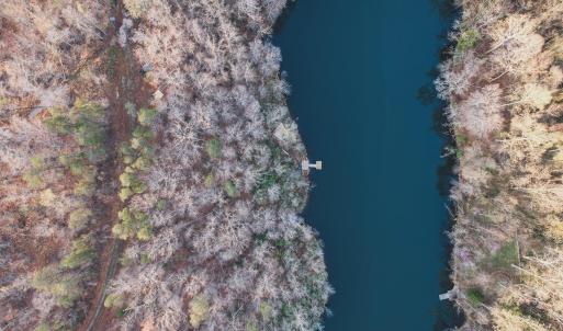 Photo #13 of 42 SHADWELL RD, KESWICK, VA 42.1 acres