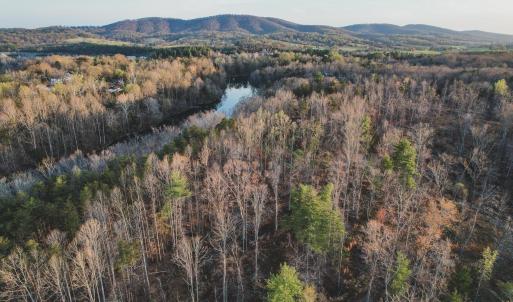 Photo #6 of 42 SHADWELL RD, KESWICK, VA 42.1 acres