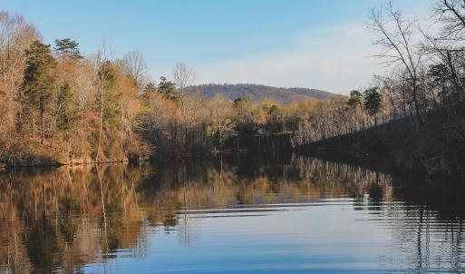 Photo #62 of 42 SHADWELL RD, KESWICK, VA 42.1 acres