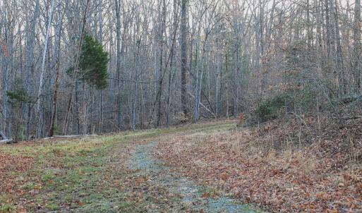 Photo #41 of 42 SHADWELL RD, KESWICK, VA 42.1 acres