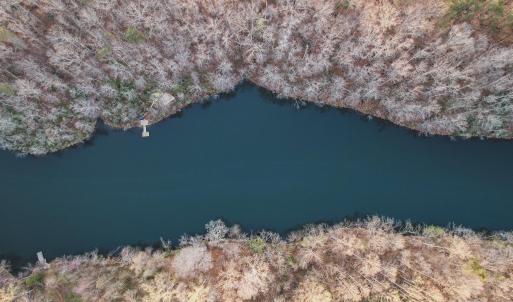 Photo #12 of 42 SHADWELL RD, KESWICK, VA 42.1 acres