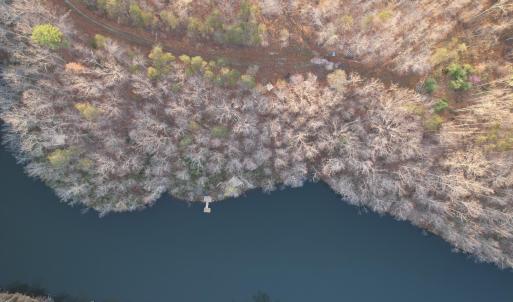 Photo #11 of 42 SHADWELL RD, KESWICK, VA 42.1 acres