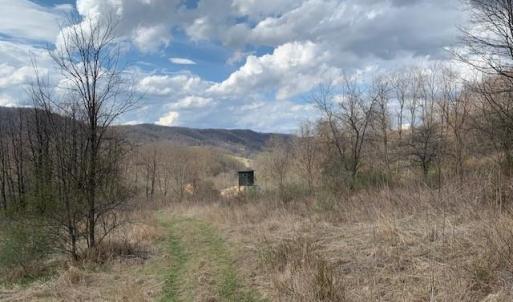 Photo #12 of TBD BIG VALLEY RD, MONTEREY, VA 99.3 acres