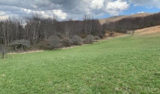 Photo #2 of TBD BIG VALLEY RD, MONTEREY, VA 99.3 acres