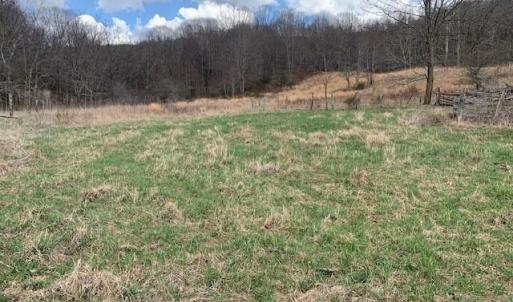 Photo #9 of TBD BIG VALLEY RD, MONTEREY, VA 99.3 acres