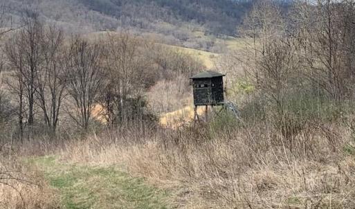 Photo #13 of TBD BIG VALLEY RD, MONTEREY, VA 99.3 acres