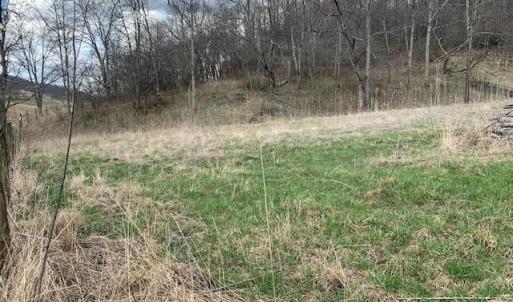 Photo #10 of TBD BIG VALLEY RD, MONTEREY, VA 99.3 acres