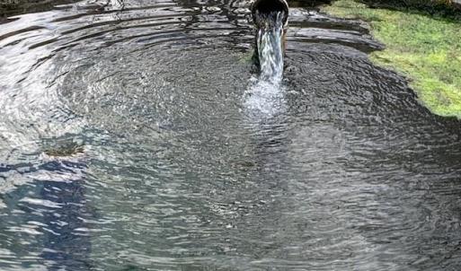 Photo #14 of TBD BIG VALLEY RD, MONTEREY, VA 99.3 acres