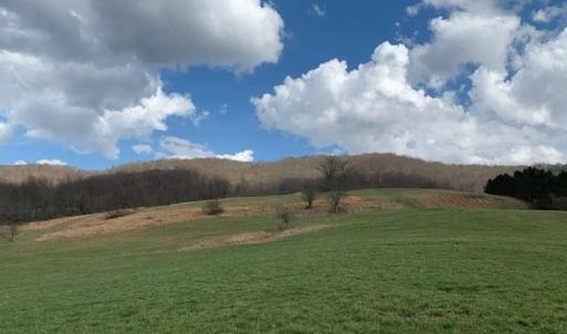 Photo #3 of TBD BIG VALLEY RD, MONTEREY, VA 99.3 acres