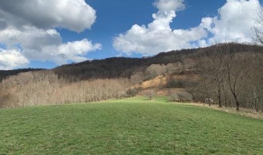 Photo #8 of TBD BIG VALLEY RD, MONTEREY, VA 99.3 acres