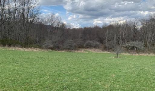 Photo #7 of TBD BIG VALLEY RD, MONTEREY, VA 99.3 acres