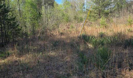 Photo #2 of KENTUCKY SPRINGS RD, MINERAL, VA 2.2 acres
