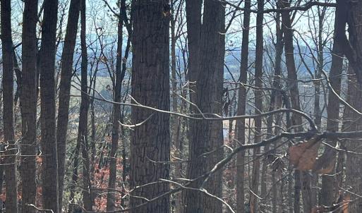 Photo #6 of tbd ROUND HILL SCHOOL RD, FORT DEFIANCE, VA 6.6 acres