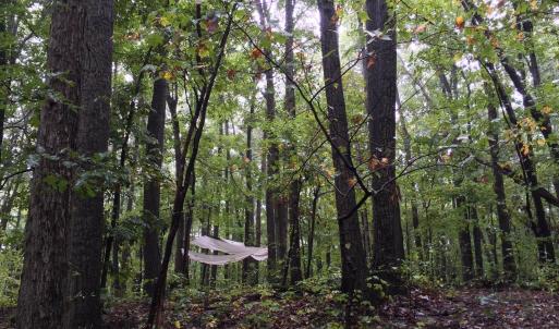 Photo #5 of tbd ROUND HILL SCHOOL RD, FORT DEFIANCE, VA 6.6 acres