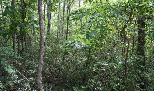 Photo #1 of HIGH VALLEY SOUTH, MONTEREY, VA 5.0 acres