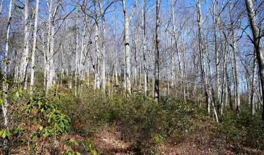 Photo #2 of HIGH VALLEY SOUTH, MONTEREY, VA 5.0 acres