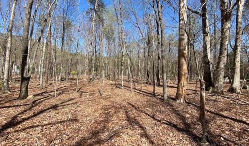 Photo #6 of 38 CREEKSIDE CL, NELLYSFORD, VA 1.1 acres