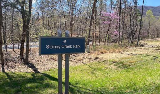 Photo #10 of 38 CREEKSIDE CL, NELLYSFORD, VA 1.1 acres