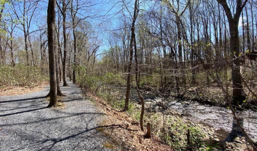 Photo #11 of 38 CREEKSIDE CL, NELLYSFORD, VA 1.1 acres